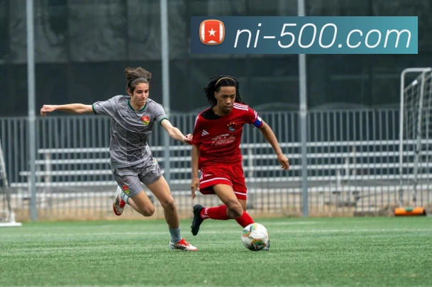 App Interface Preview